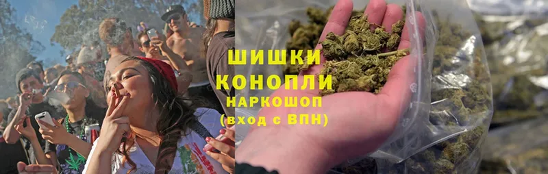 Канабис Ganja  наркотики  Змеиногорск 